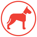 Корма для собак