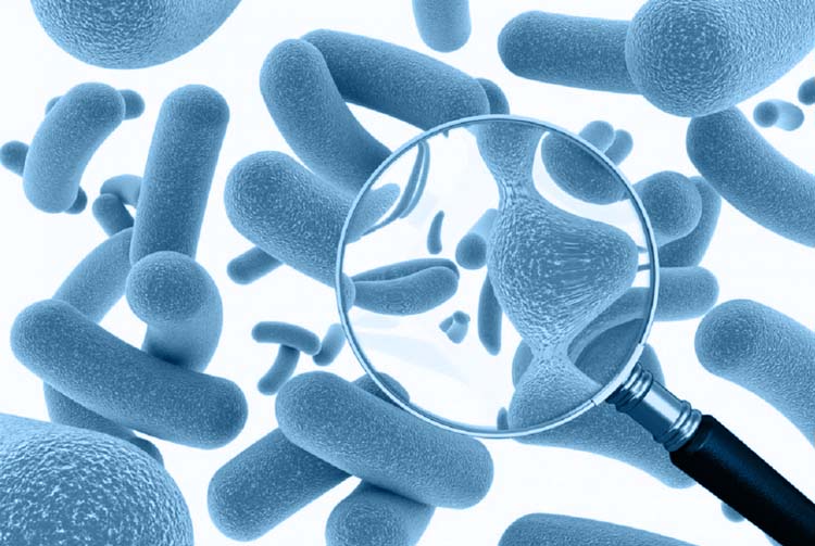 «Субтилис» — пробиотик для собак и кошек