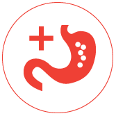 корм обогащённый живыми бактериями-пробиотиками