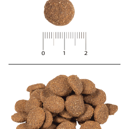 Blitz Sensitive с индейкой и ячменем сухой корм для взрослых собак всех пород