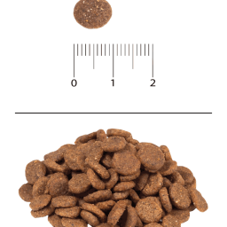 Blitz Sensitive «Ягнёнок» сухой корм для взрослых кошек