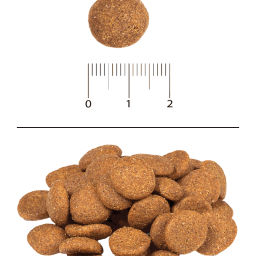 Blitz Classic сухой корм для щенков крупных и гигантских пород Blitz Classic сухой корм для щенков крупных и гигантских пород