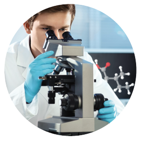 Современные корма