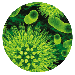 Корма с пробиотиками