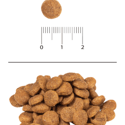 Blitz Classic сухой корм для собак мелких и миниатюрных пород всех возрастов