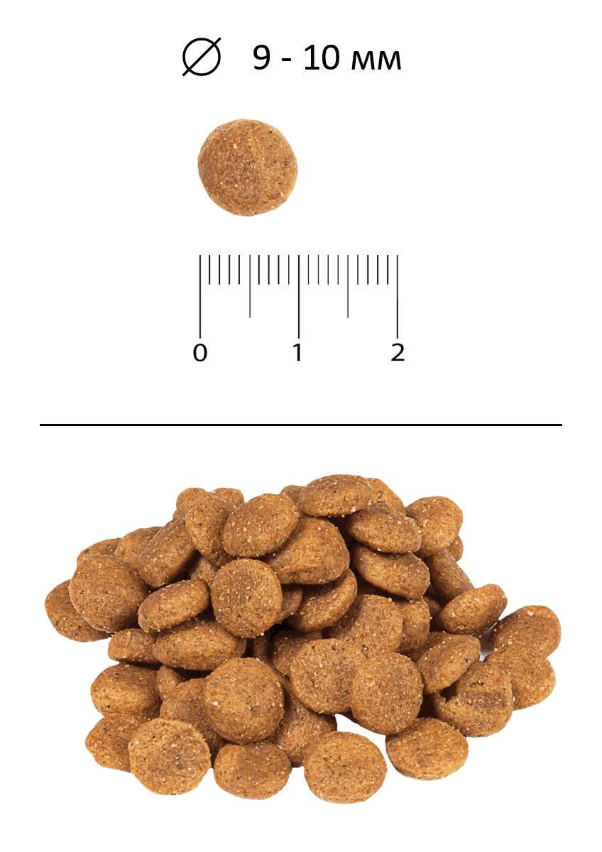 Blitz Classic сухой корм для собак мелких и миниатюрных пород всех возрастов