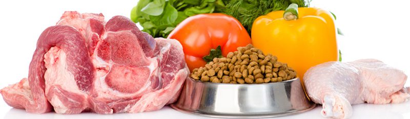 Чем кормить собаку в домашних условиях?