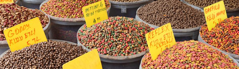 Как выбрать сухой корм для собаки?