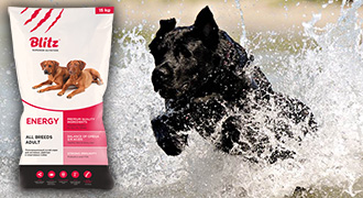 Новинка - корм Energy