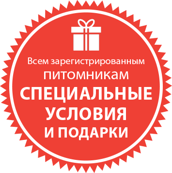 Всем зарегистрированным питомникам специальные условия!