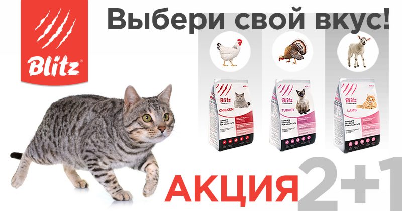 Акция 2 + 1 на корма Blitz для кошек — «Выбери свой вкус»!
