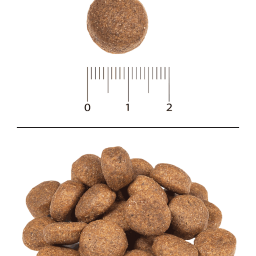 Blitz Classic с курицей и рисом сухой корм для собак всех пород