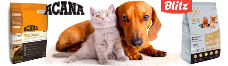 Корм Blitz и корм Acana — какая связь между брендами?