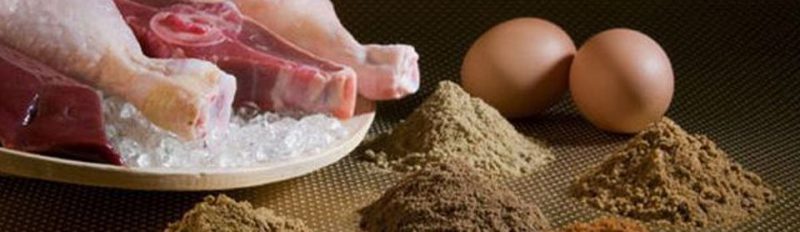 Из чего делают сухой корм?