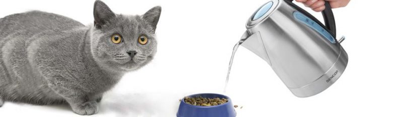 Нужно ли размачивать сухой корм?