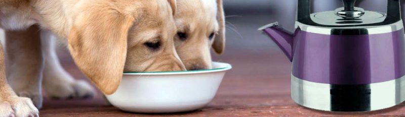 Надо ли размачивать ли сухой корм для щенков?