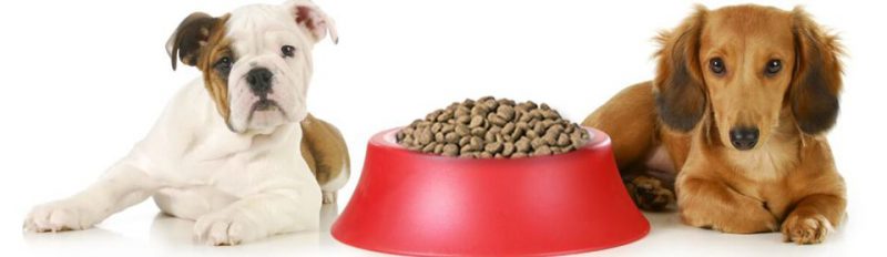 Сколько сухого корма нужно собаке в день?
