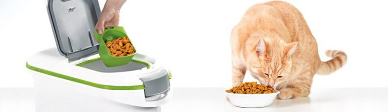 Хранение сухого корма для кошек