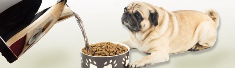 Можно ли размачивать сухой корм водой?