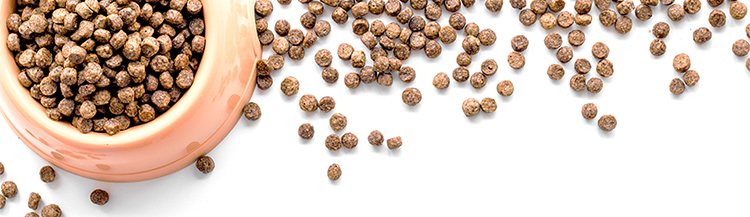 Что такое «правильный» сухой корм?