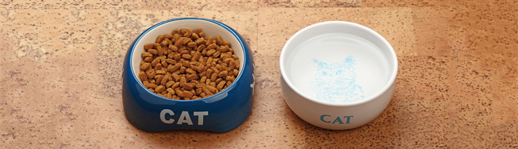 Специализированный сухой корм как профилактика МКБ у кошек
