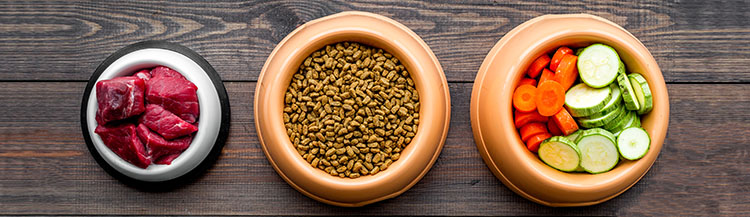 Можно ли чередовать сухой корм и натуральный