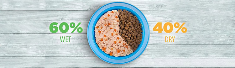 Можно ли давать питомцу сухой и влажный корм одновременно?