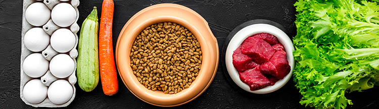 Можно ли кормить натуралкой и сухим кормом одновременно?