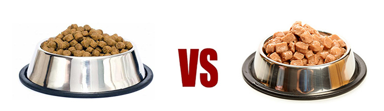 Можно ли смешивать сухой и влажный корм?