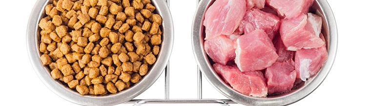 Можно ли совмещать сухой корм и натуральный?