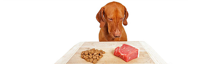 Почему нельзя смешивать сухой корм и натуральный: взгляд специалиста