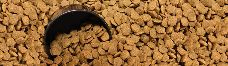 50 грамм сухого корма — это сколько?