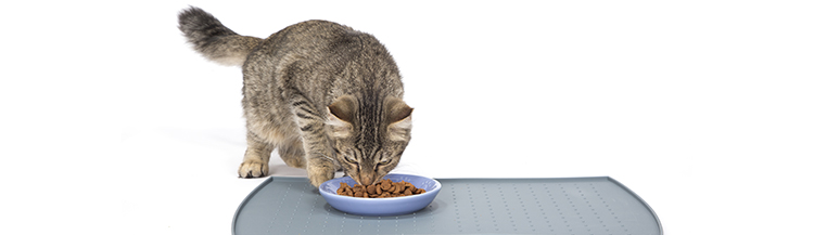 Как отмерить сухой корм для кошек?