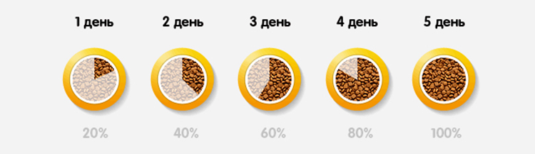 Как перевести кошку на сухой корм?