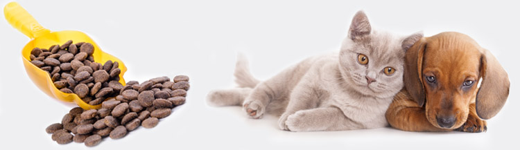 Как отмерить сухой корм?