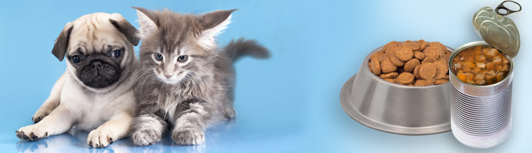 Как перевести с влажного корма на сухой?