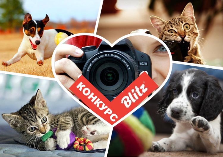 Конкурс «Играйте! Снимайте! Выигрывайте!»