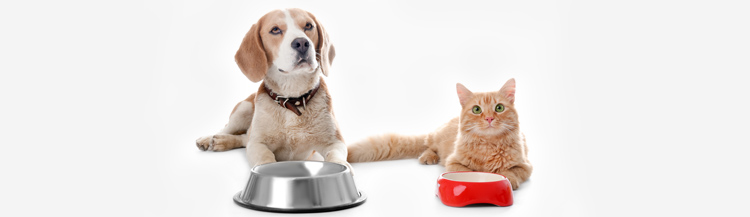 Сколько нужно давать сухого корма в день?