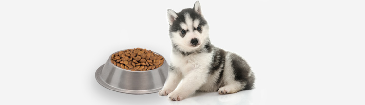 Сколько сухого корма давать щенку в 2 месяца?