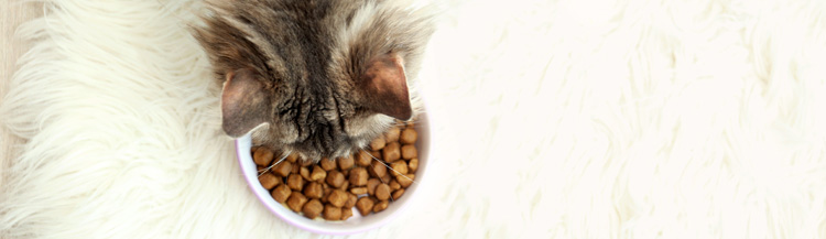 Какие существуют классы сухих кормов для кошек?