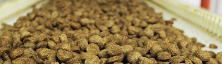 Производство сухих кормов для кошек