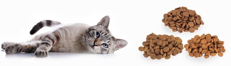 Сравнение сухих кормов для кошек по составу