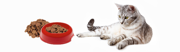 Корм для контроля веса кошки