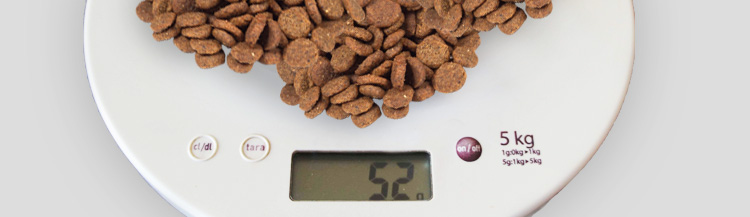 Каков оптимальный вес корма для кошек?