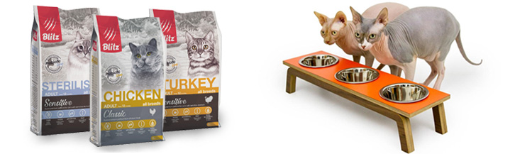 Каким должен быть хороший корм для кошек?