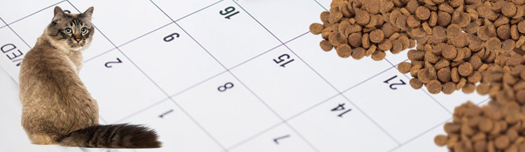 Срок годности корма для кошек