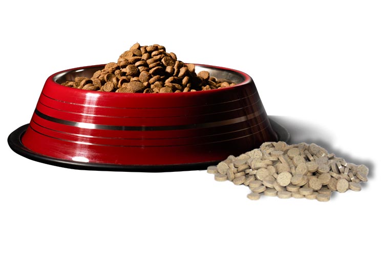 Можно ли сочетать сухой корм и витамины?