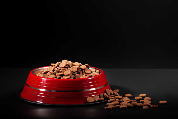 Зола в сухом корме