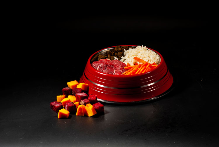 Можно ли сочетать сухой корм с обычной едой?