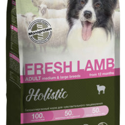 Blitz Holistic СВЕЖИЙ ЯГНЁНОК — монопротеиновый сухой корм для взрослых собак средних и крупных пород
